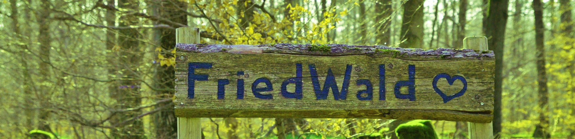 Friedwald, Waldbestattung, Schild, Eingang