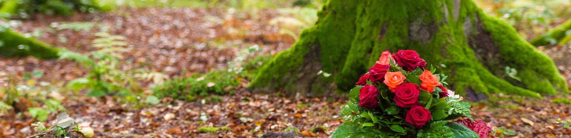 Wald, Waldbestattung, Bestattung, Trauerkranz