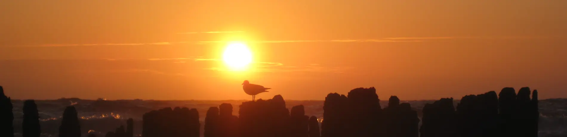 Sonnenuntergang auf Sylt