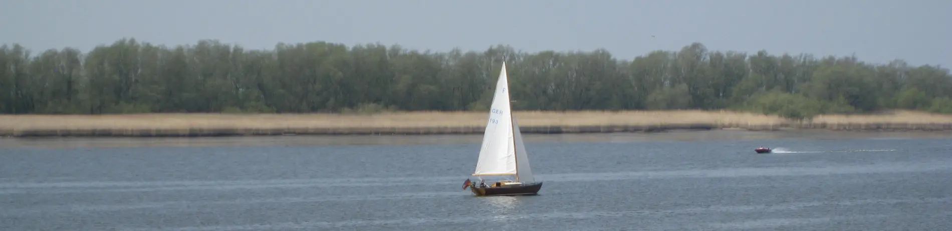 Segelboot auf der Elbe