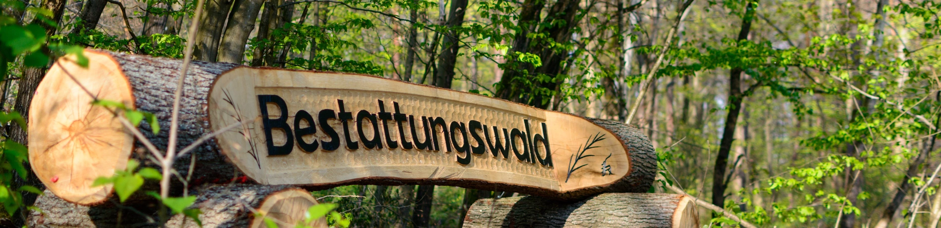 Bestattung, Bestattungswald, Eingang, Holzgravur