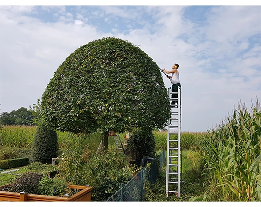 Galerie-Bild 2: Leffers Garten- und Landschaftsbau aus Dötlingen von Leffers Garten- und Landschaftsbau 