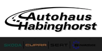 Bild von: Autohaus Habinghorst Škoda / Cupra / Seat, Vertragshändler & EU-Fahrzeughandel 