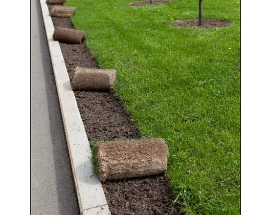 Galerie-Bild 5: Garten- und Landschaftsbau aus Tangstedt von Garten- und Landschaftsbau Biermann 