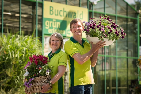 Galerie-Bild 4: Buchwald grün erleben aus Malente von Buchwald grün erleben , Pflanzencenter Gartenmarkt