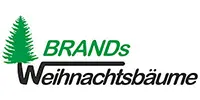 Bild von: Brand´s Weihnachtsbäume 