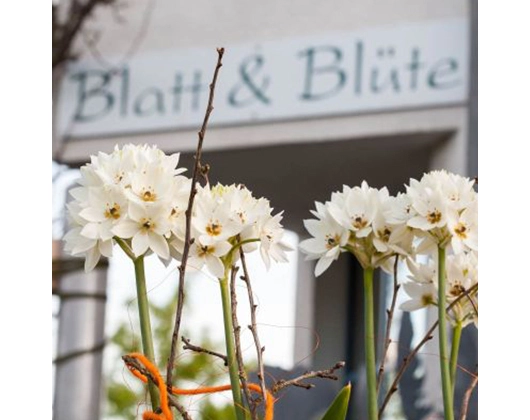 Galerie-Bild 12: Blatt & Blüte aus Ehingen (Donau) von Blatt und Blüte Blumenfachgeschäft