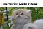 Bild von: Tierarztpraxis Pfitzner Kristin 