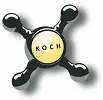 Bild von: Koch, Alexander 