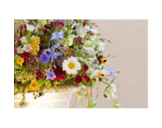 Galerie-Bild 2: Christoph Schade aus Ulm von Christoph Schade Blumen Steinbuch