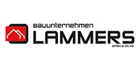 Bild von: LAMMERS Bauunternehmen GmbH & Co. KG 