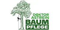 Bild von: Doktor Astrein Baumpflege 