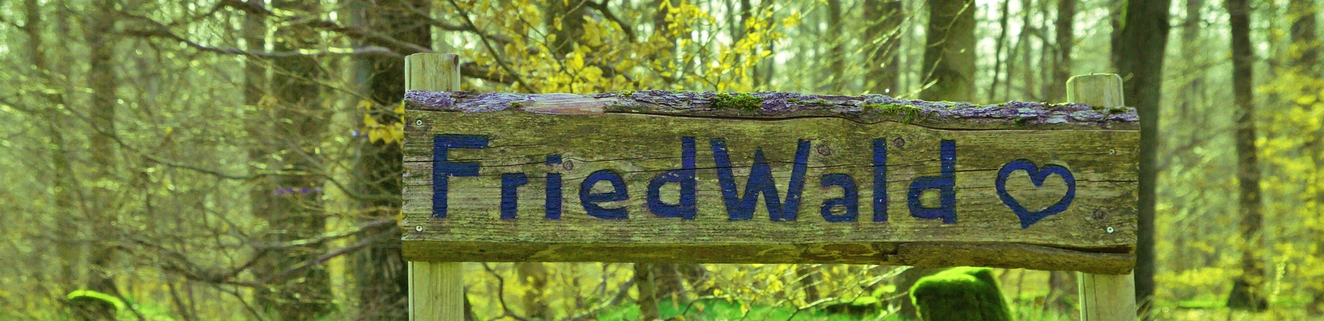 Wald, Friedwald, Bestattung, Ruhe