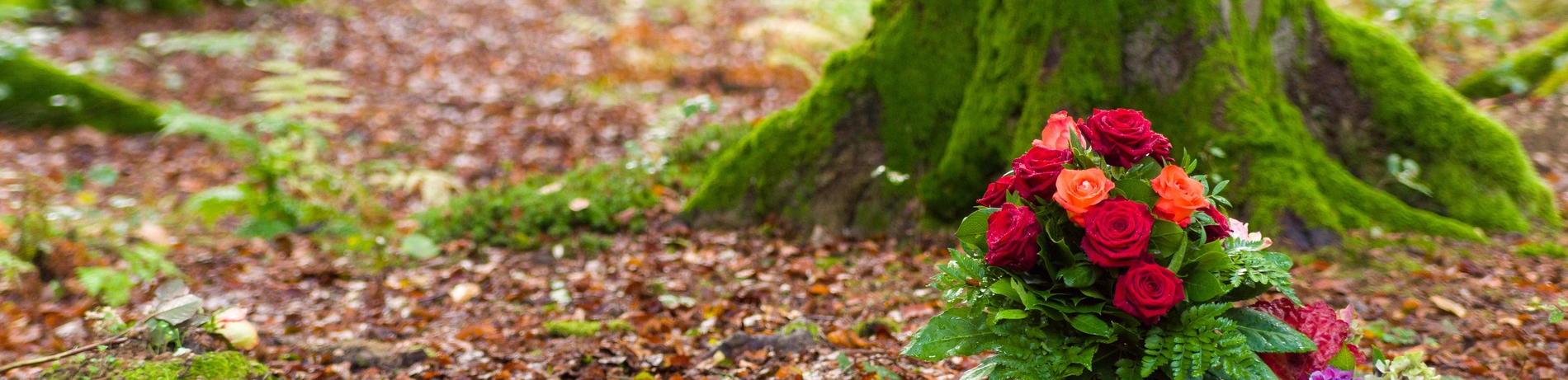 Baum, Grab, Grabgesteck, Friedhof