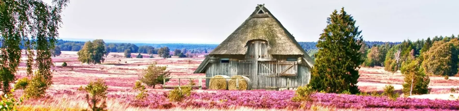 die Lüneburger Heide, HDR